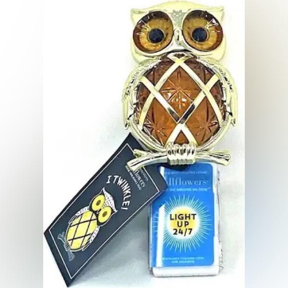 Bath & Body Works Fall Fiber Optic Owl Nightlight Wallflower Fragrance Plug - Picture 11 of 11